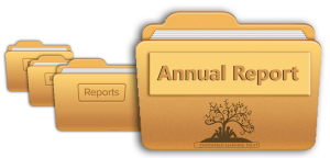 Annual report2
