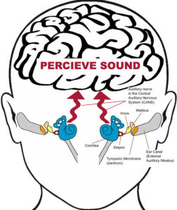 auditory processing disorder test for children auditory processing disorder test for children